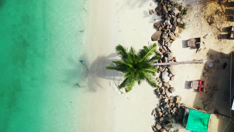 White-sandy-beach-surrounded-by-beautiful-limestone-cliffs-under-green-leaves-of-palm,-washed-by-turquoise-lagoon-in-Thailand