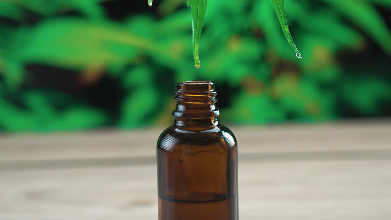 el aceite de cbd legalizado fluye en la punta de una hoja de cáñamo verde y cae en una botella de vidrio.