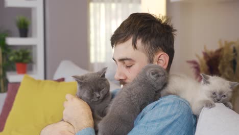 Gray-Cat-and-kittens.