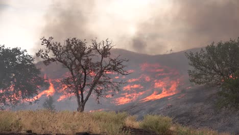 A-Wildfire-Brush-Fire-Burns-In-The-Hills-Of-Southern-California-2