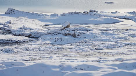 un arroyo poco profundo en la tundra cubierta de nieve