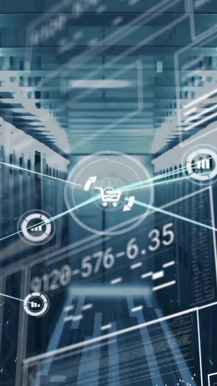 Animation of data processing over computer servers