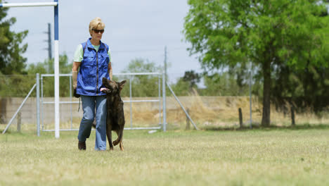 Shepherd-dog-walking-with-his-owner-in-the-field-4k