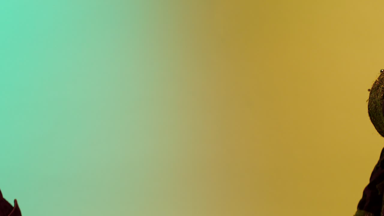 las manos intercambiando pepitas de oro