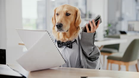 dog in a suit at a desk