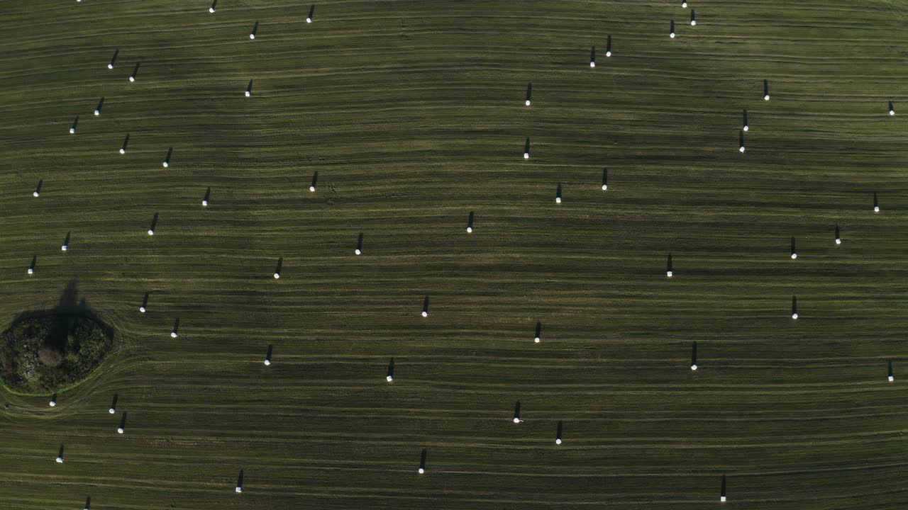 수확 중 신선한 초록색 과 건조한 을 가진 시골 풍경의 공중 풍경.