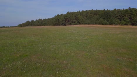 perfect aerial top view flight
hilly heath forests summer flowers fields brandenburg germany 23