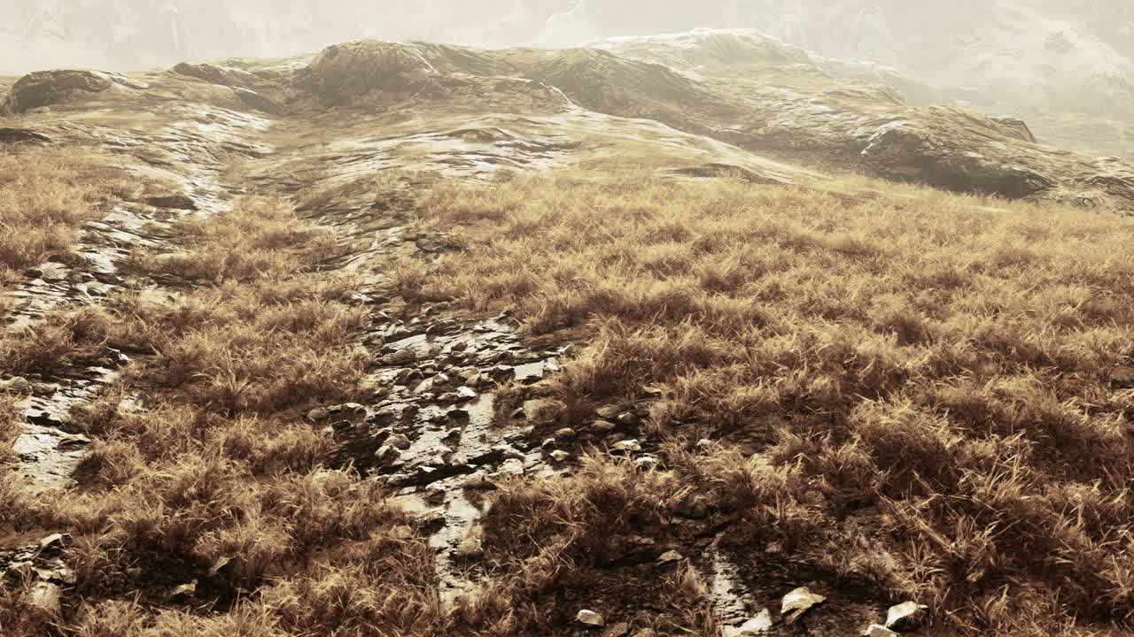 네팔 의 건조 한 풀 ⁇  과 산 들