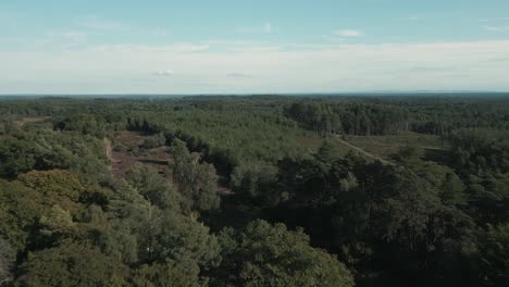 slow aerial shot pushing forward over forest at daytime with blue sky