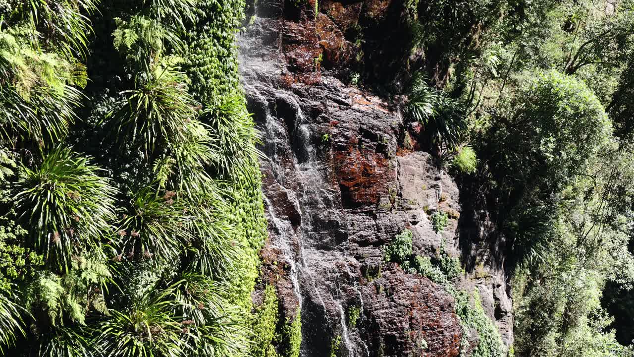 el agua cae en cascada por un acantilado rocoso y verdoso.