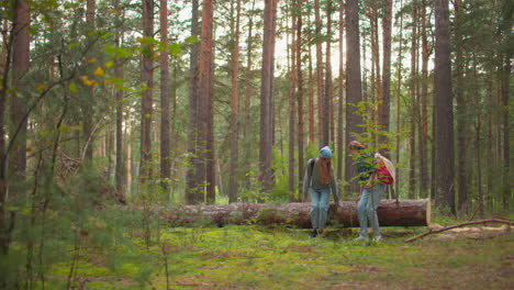 two women wearing jeans and sneakers approach fallen tree in vibrant green forest, preparing to sit together amidst tall pines, sunlight filters through trees, casting warm glow