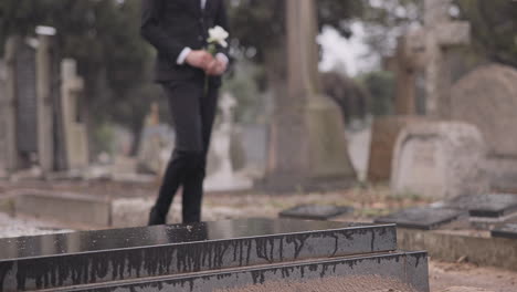 funeral, walking in cemetery