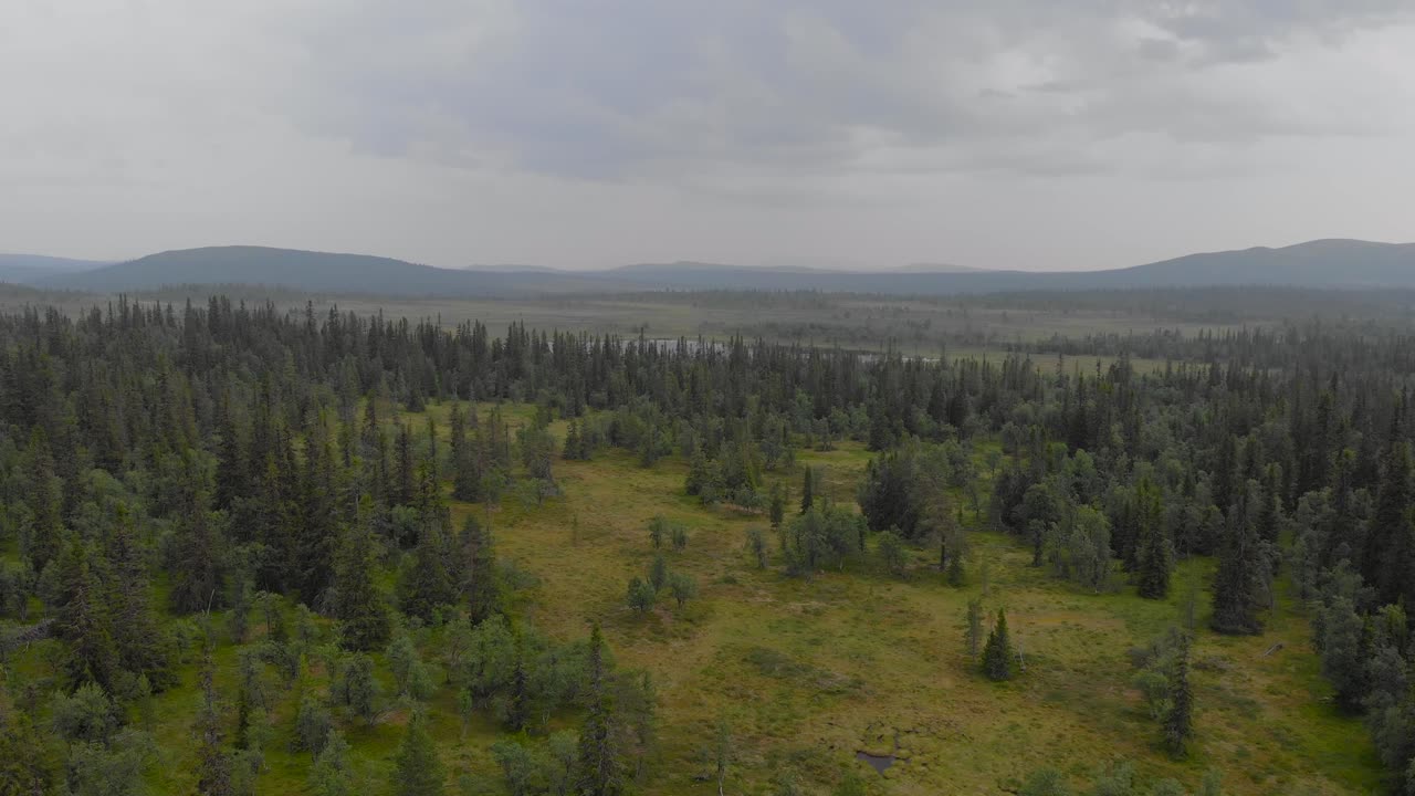 Flygfoto som zoomar ut avslöjar den rofyllda arktiska naturen, barrskogen och en bergig bakgrund längs horisonten i Jämtland, Sverige.