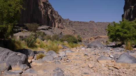 tranquil canyon landscape scene in the countryside of the sultanate of oman