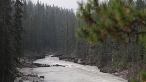 Close-Up-of-Branches-in-Front-of-Rapids-in-4K