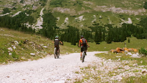 Mountain Biking Adventure