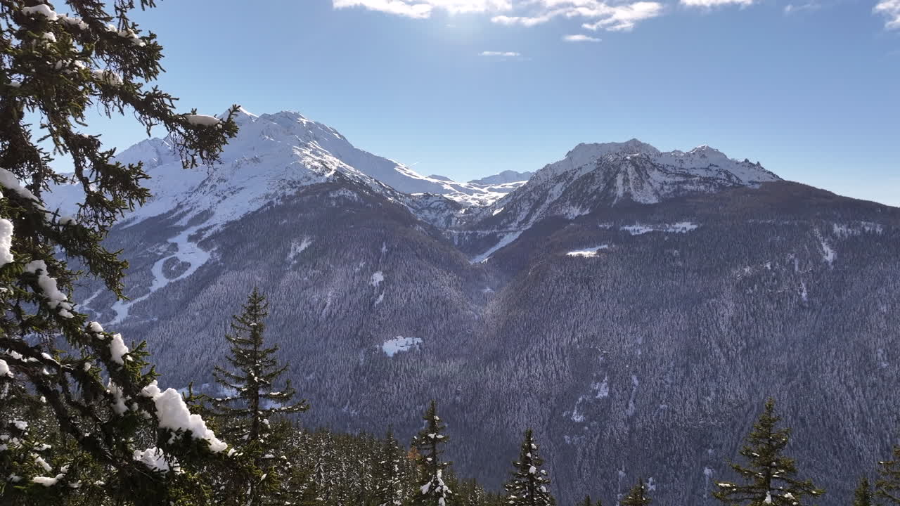 Lenta ripresa aerea in avvicinamento su una foresta di abeti nella Valle della Tarantasia - Francia.