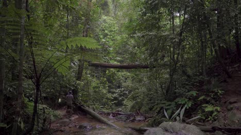 male traveler hiker looking around exploring mountain river stream with hiking flashlight in jungle