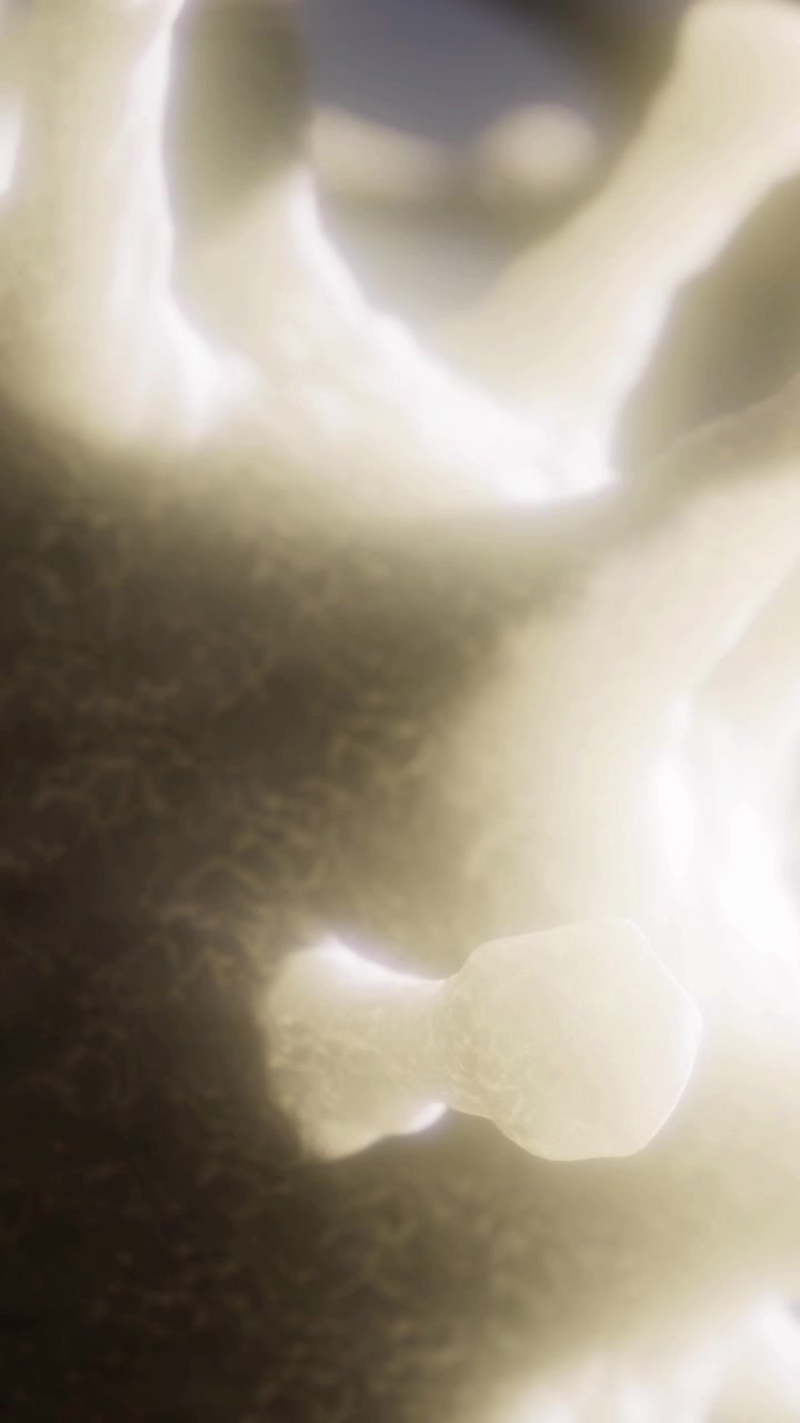 Light shines through dark shapes in a close up photo at dawn