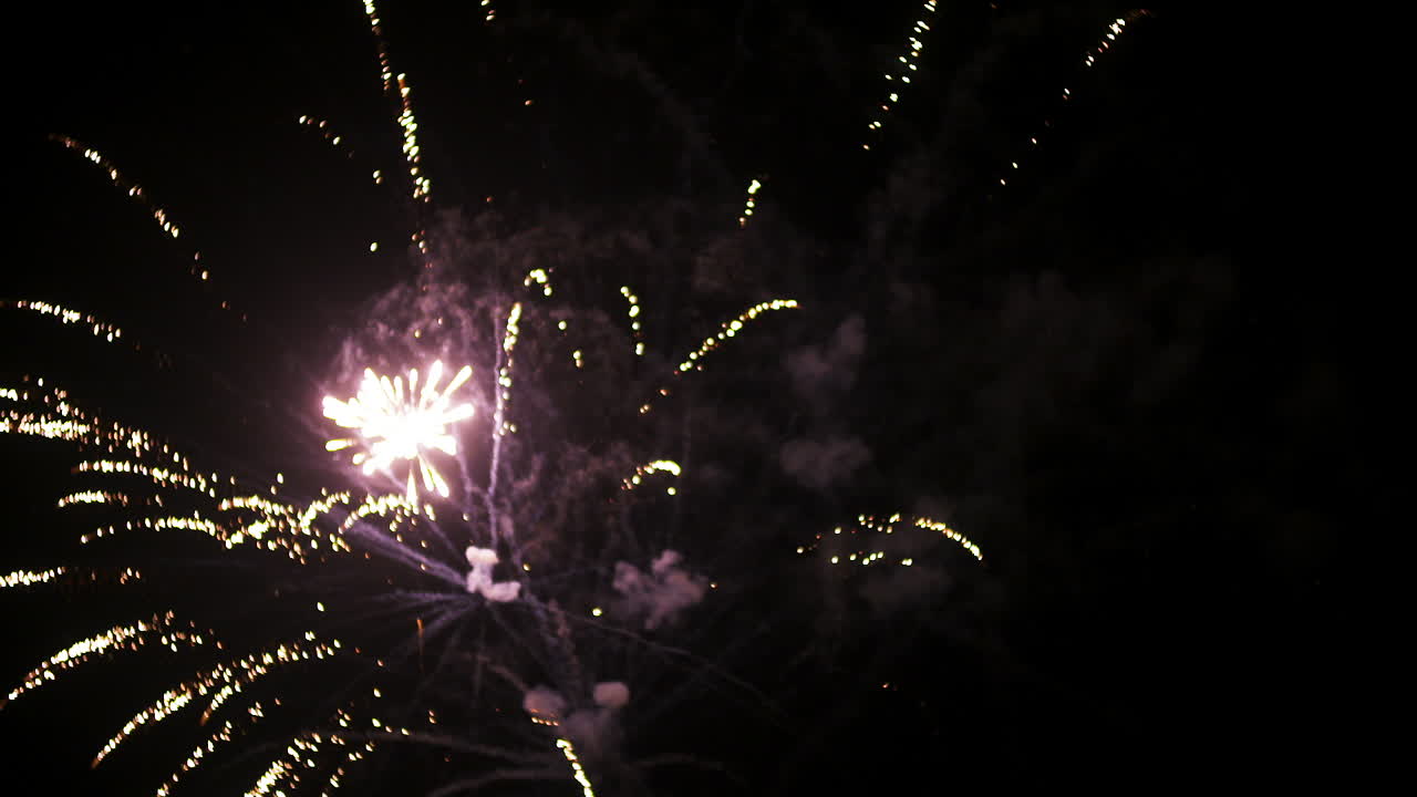 Fuochi d'artificio all'inizio del nuovo anno nella notte buia 3