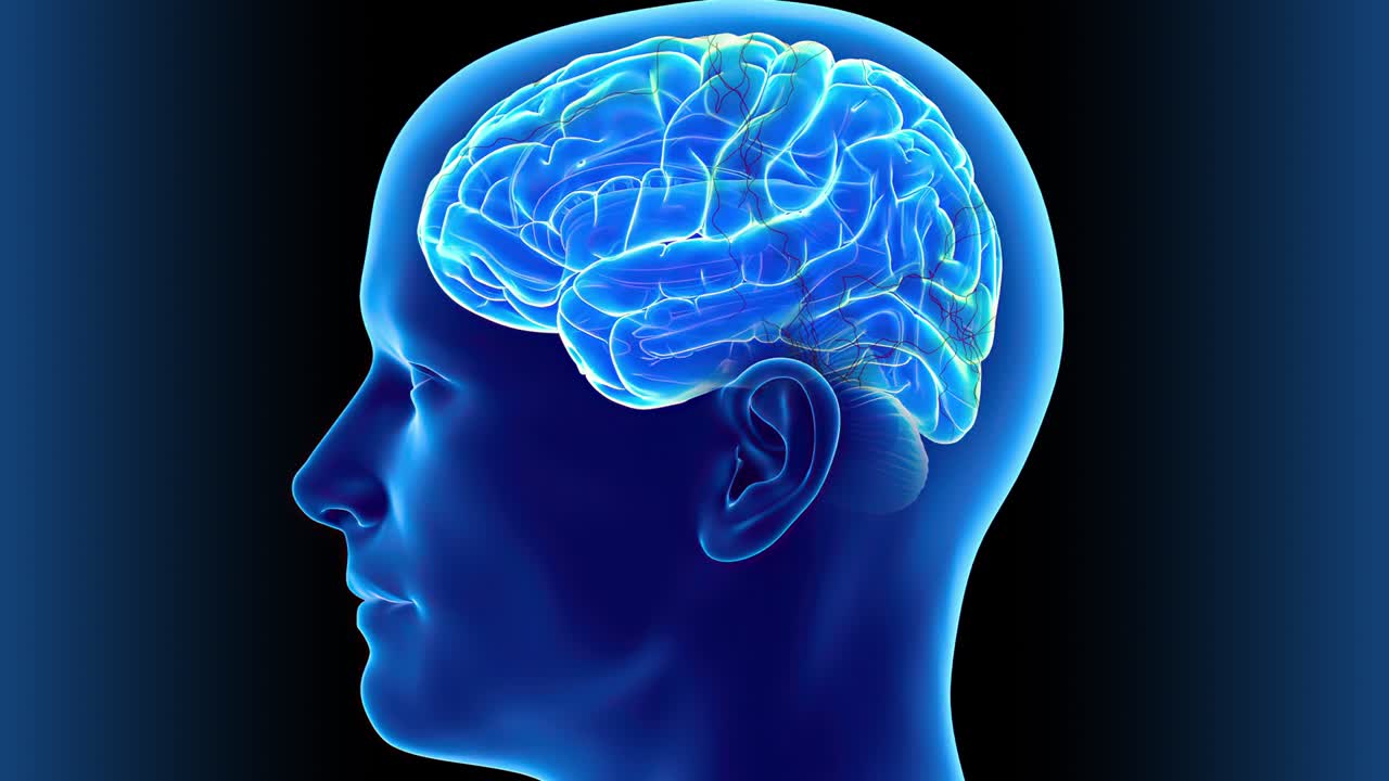 An abstract concept of the continuous electrical activity in the human brain - seamless looping