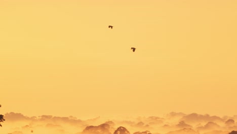 parrots soar above mist-veiled trees of peru’s amazon at twilight, a tranquil scene in motion.