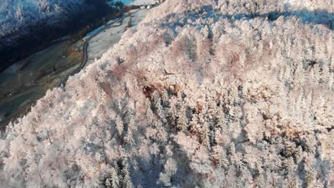 Clear skies in the winter as the camera pans down over the snow covered trees. Lake Bled sunrise by aerial view