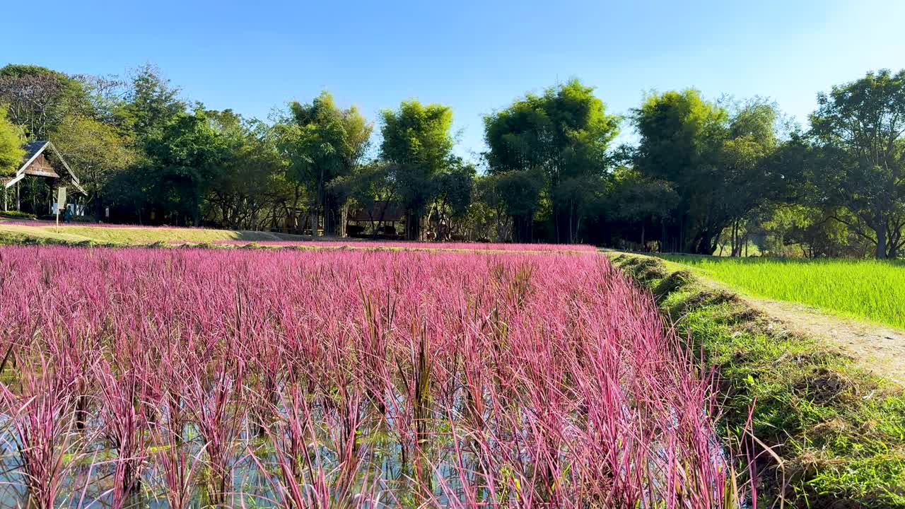 은 파란 하늘 아래 다채로운