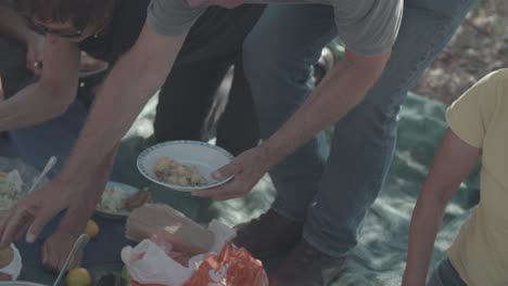 La-Gente-Disfruta-De-Un-Picnic-En-El-Prado-Bajo-El-árbol