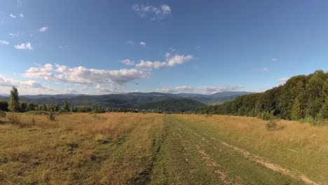 summer carpathians