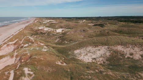 Expansive-dunes-along-the-Danish-coastline-under-blue-skies