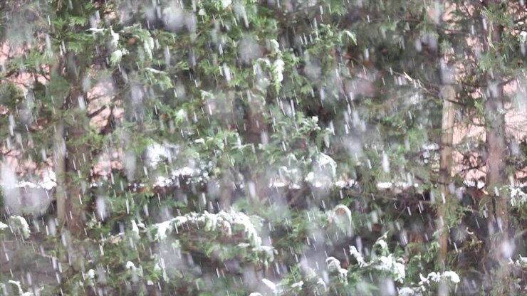 Closeup of snowstorm, winter time green background