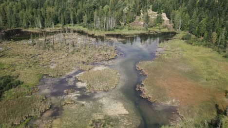 Aerial-tilting-shot-showing-a-rural-swamp-land