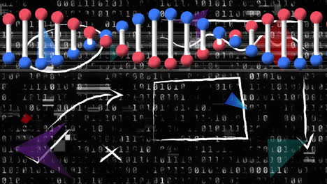 Animation of dna strand spinning and binary coding, data processing