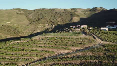 Breathtaking-aerial-reveal-of-a-hilltop-vineyard-in-Douro-Valley-in-early-morning-surrounded-by-terraces-of-grape-vines