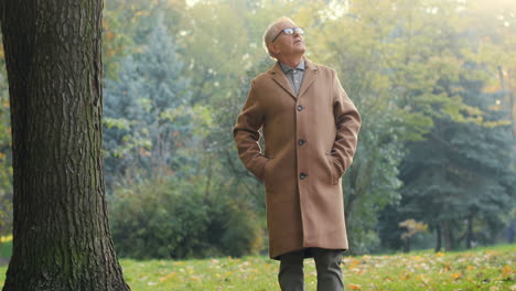 elderly man standing in the park and looking up, then his wife comes up him and he showing something in the sky