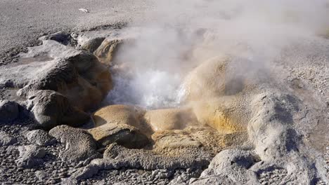 Bubbling-Geyser-in-Yellowstone,-Wyoming