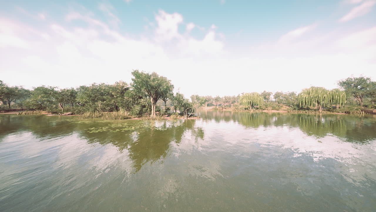 Hermosa luz de la mañana en parque público con campo de hierba verde