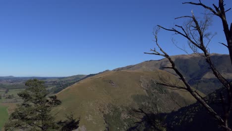 gap in native bush reveals vast landscape including nearby hills - ashley gorge skyline trail - new zealand