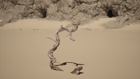 un árbol muerto se encuentra en la arena del desierto contra un fondo de acantilados y dunas de arena.