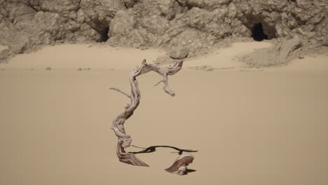 a dead tree stands in the desert sand against a background of cliffs and sand dunes.