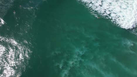 Vista-Aérea-De-Surfistas-Flotando-En-El-Océano-En-Cabarita,-Nueva-Gales-Del-Sur,-Australia---Disparo-De-Drone