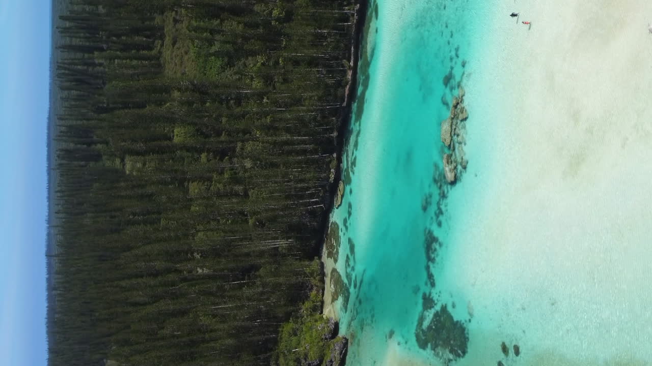 isla de pinos y las aguas cristalinas junto a la piscina natural en la bahía de oro - antena vertical
