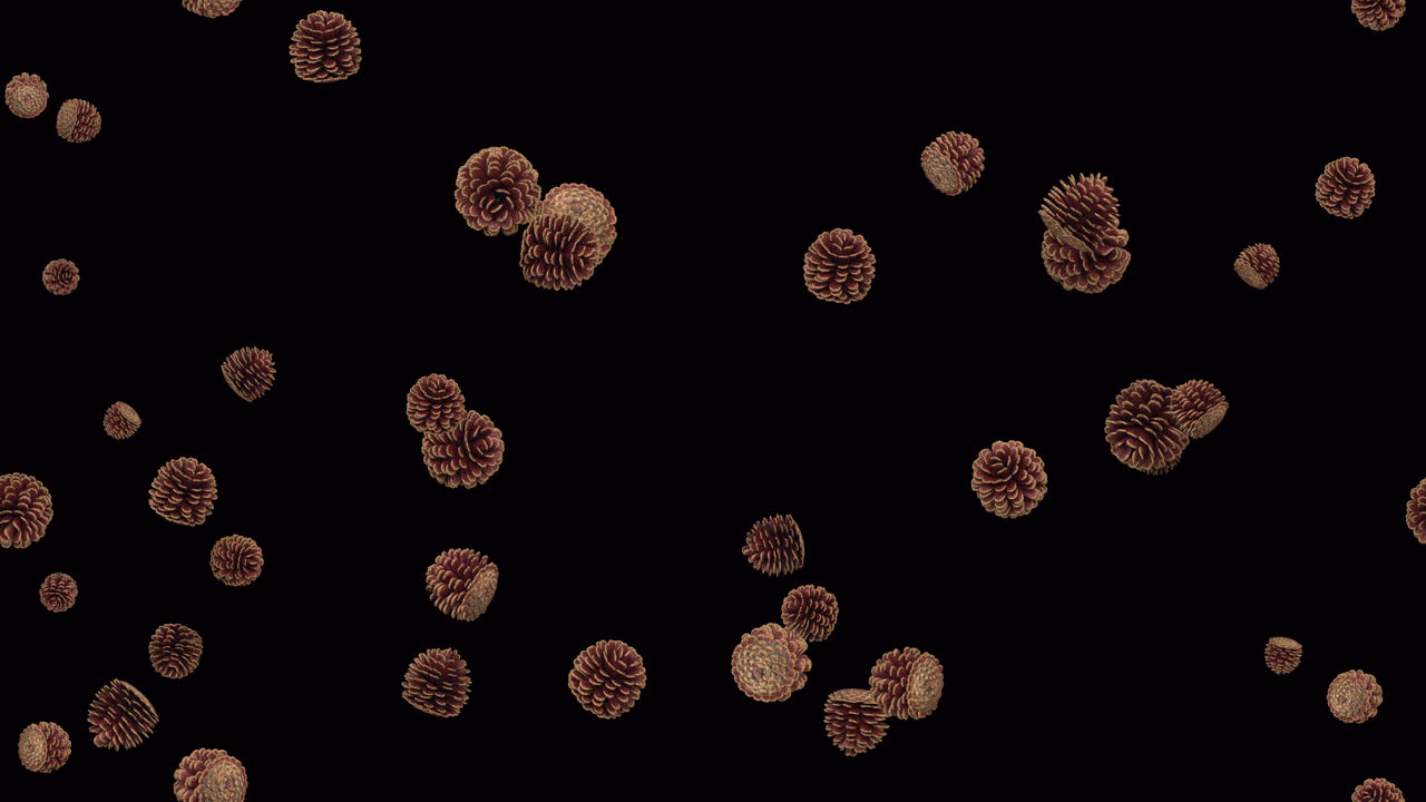 솔방울은 알파와 함께 튀는다