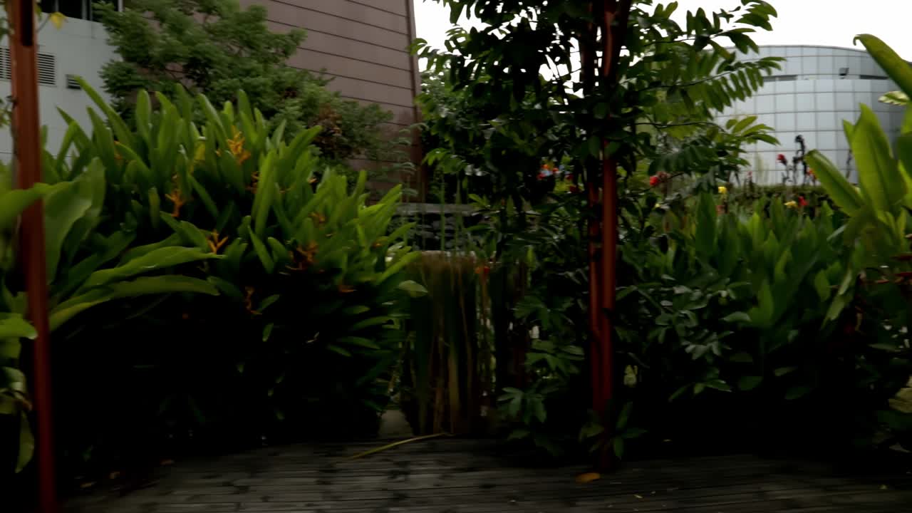 Looking around in the park