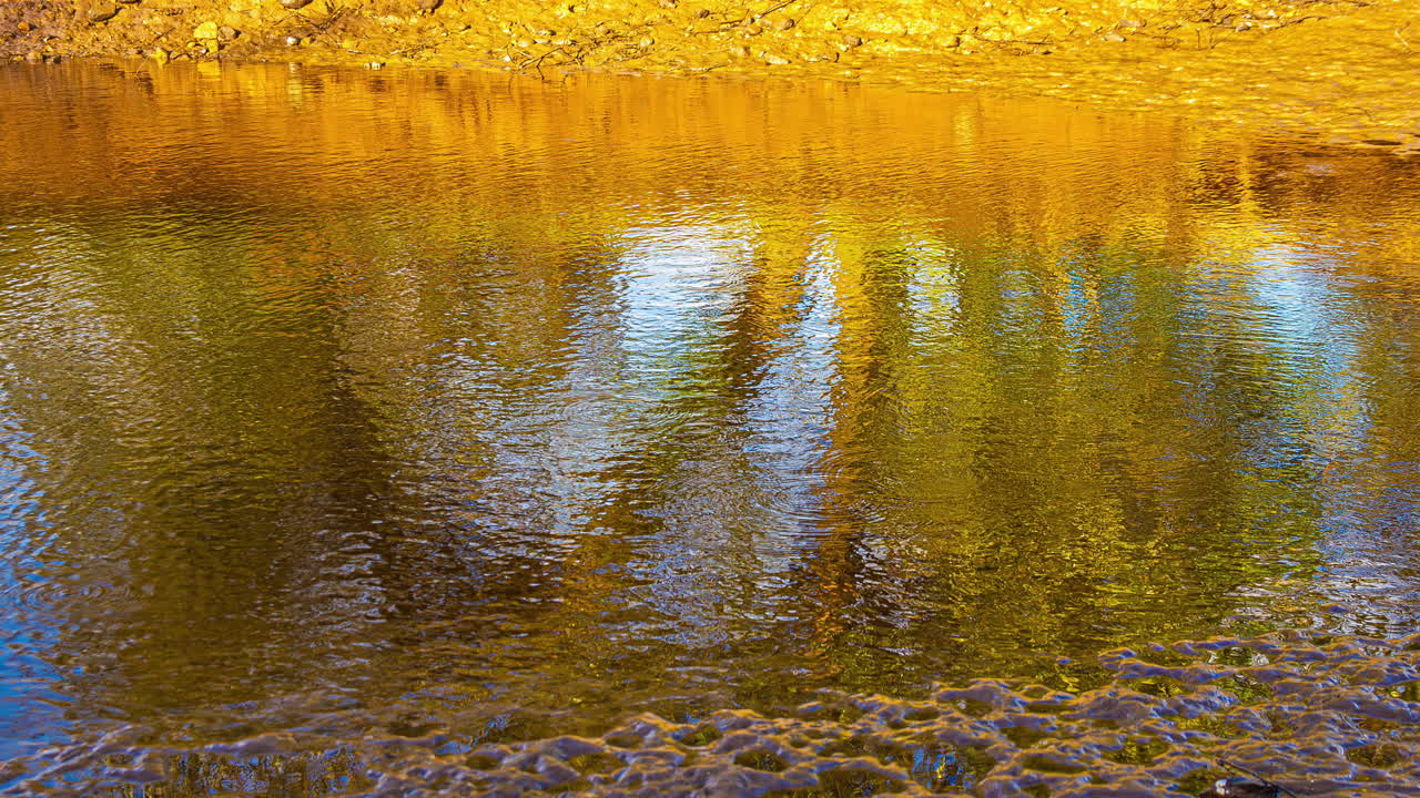 Reflection On The River Though Low Tide At Sunset. Timelapse