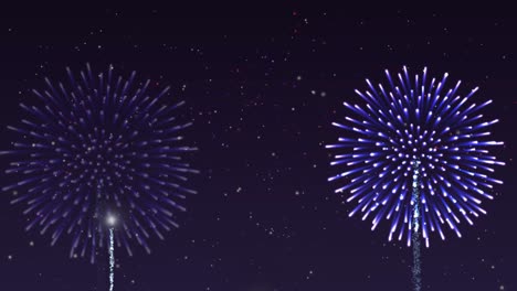 fireworks exploding in a starry night sky