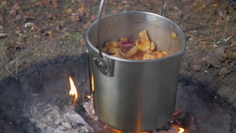 Cooking-dinner-over-a-fire-in-nature,-Static-shot