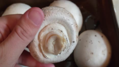 fresh organic whole white mushrooms in farmers market container