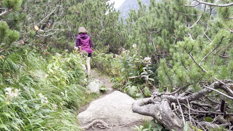 following a girl hiking on a trail in the retezat mountains of romania